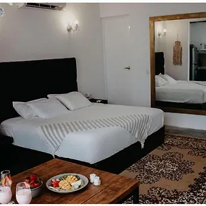 https://elixir-homes-tulum.allrivieramayahotels.com